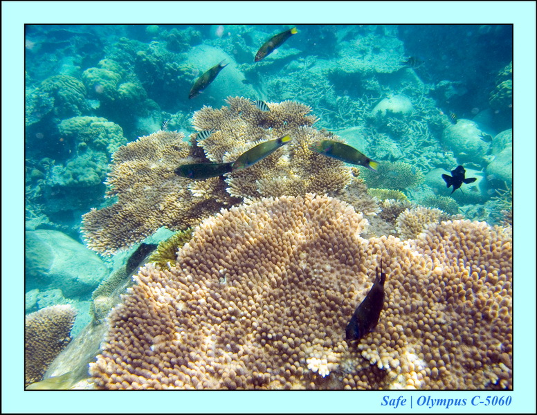 2008 - 07 - Leng Tengah - 077